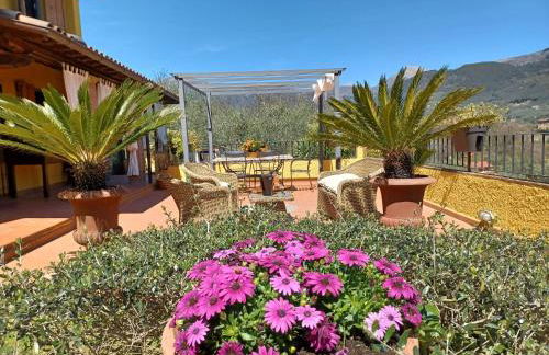 Villa Daniela - Foto 41