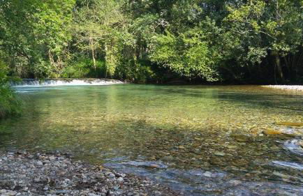 Casinha Nº461 - Foto 56