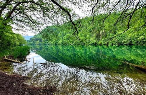 Casa Bosco - Photo 48