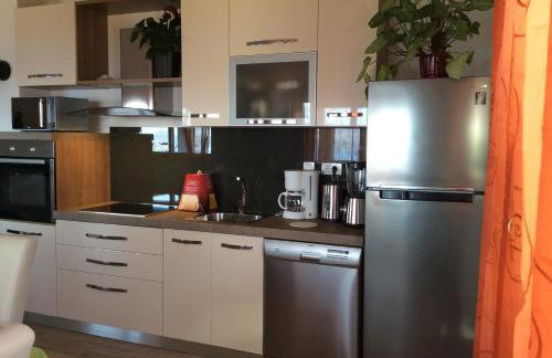 Villa Belvedere Žiža - Photo 13