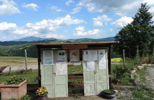 Società Agricola Cacigolara - Photo 137