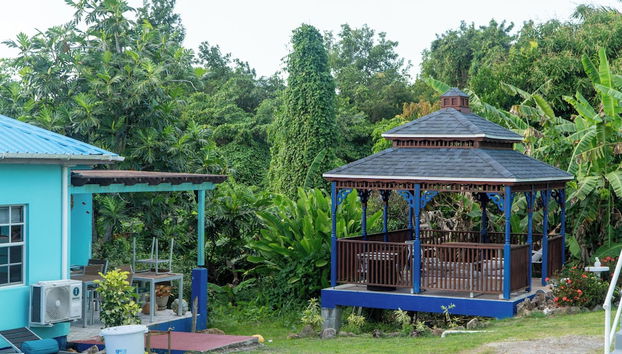 LambLion Holiday Apartments - Foto 2, Recepción