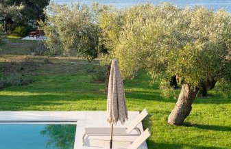 Luria Homes - Photo 58