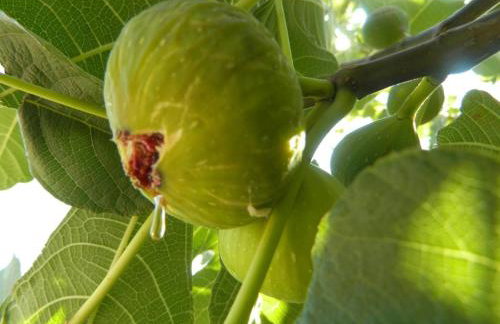 Libera Apartments - Foto 53