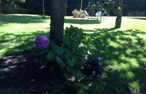 Villa Giovanna - Photo 72