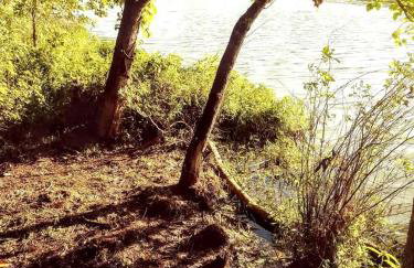 Secluded Sedona Tiny House in Woods Near Lake | Fire Pit, Hammocks, Full Kitchen & Breakfast - Foto 41