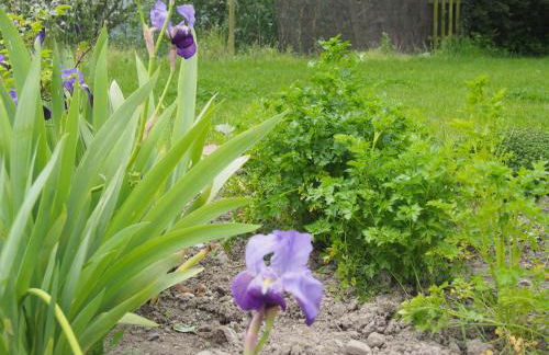 Maison Tombelaine - Foto 18