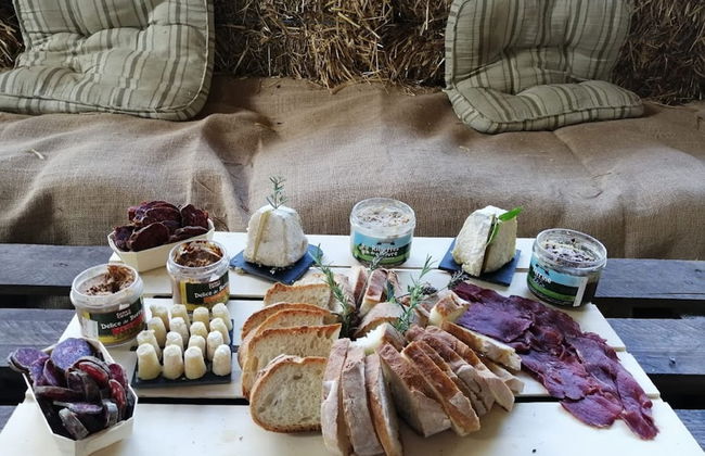 Ferme du Caroire - Foto 19