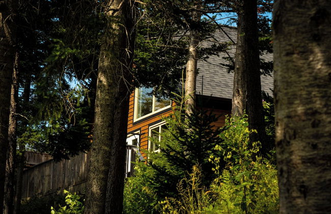 Indian Falls Chalets - Photo 69