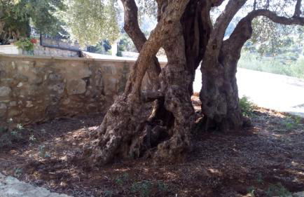 Tzitzifes Stone Mansion - Foto 35