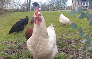 Charming Barn Conversion - Idyllic Rural Retreat- Pet Friendly - Foto 32