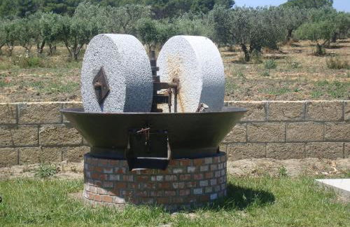 Agriturismo Fieri - Foto 65