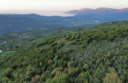 Maison de village 3 chambres 2 SDB avec terrasse & jardin - Proche St Florent - Foto 35