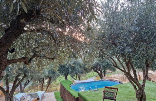 maison du olival - Foto 30