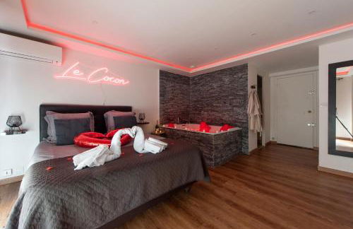 LE COCON- Jacuzzi & Sauna privés By SweetDreams - Foto 1