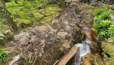 Casa 7 - Vila do Biribiri - Foto 5, Garden