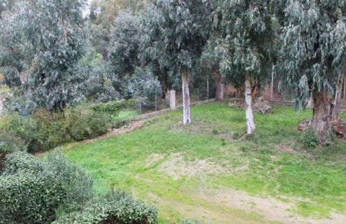 T2 Calvi entierement équipé à 150m de la plage. - Foto 10