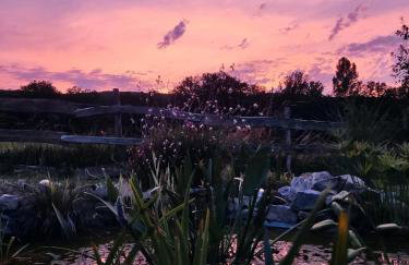 Au chant des oiseaux - rouge gorge - Foto 32