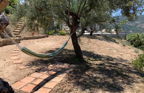 Olive Guest Farm - Foto 64