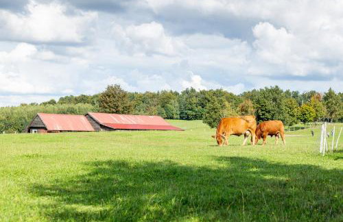 Dylewianka - Foto 57