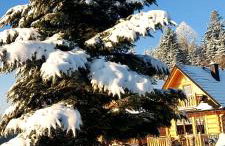 Domki Zielone Skałki - Foto 21