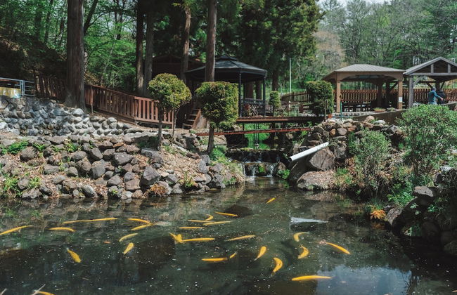 Kobuchizawa Art&Wellness IKIGAI - VILLAS - Foto 19