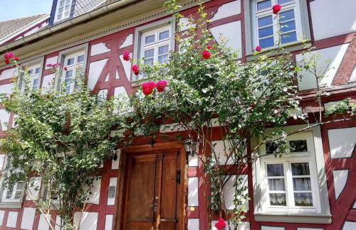 Odenwald Lounge im Naturpark Bergstraße-Odenwald - Photo 26