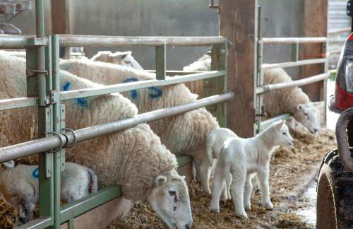 Thorne Farm Annexe - Photo 23