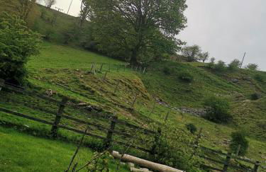 Cwm Farm Cwtch - Photo 17