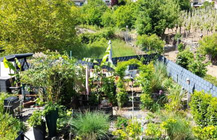 Ferienhaus Heimes - Foto 50