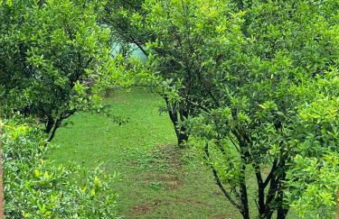 Maravilhosa casa com piscina em Lagoa Santa - Foto 10