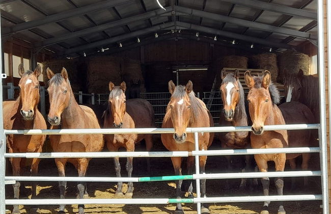 Agriturismo D'Apostolo - Foto 43