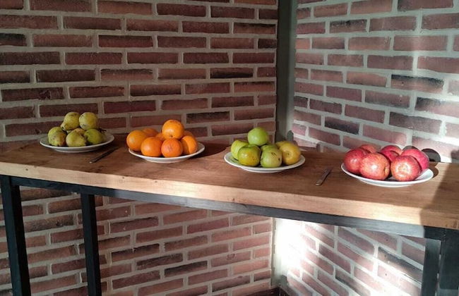 TIERRA MORA HOTEL BOUTIQUE - Photo 22