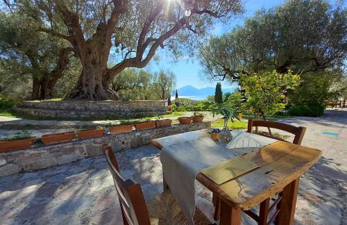 Pie' d'Ulivo - Foto 37