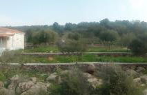 ''Koukmos beach'' Greenspace Living - Private sandy beach - Foto 65