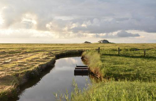 Friesenblau im Haus Schladenhaufen - Foto 19