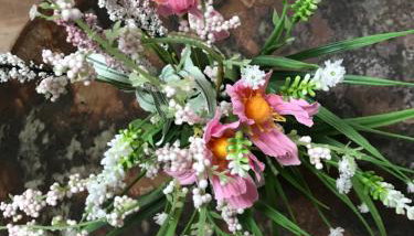 Top of the House - Foto 3