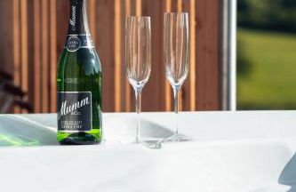 Chalet Auszeit im Schönseer Land - Foto 28