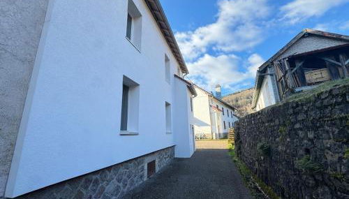 Le colibri au pied des ballons des Vosges - Foto 3