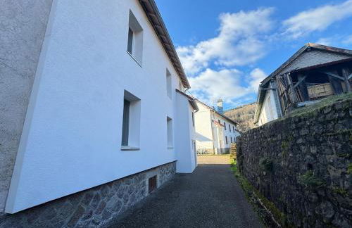 Le colibri au pied des ballons des Vosges - Foto 3