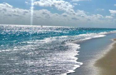 TROPICAL Palm Beach NEW SUITE 3 Beds 2 BEDRS &2BATHROOMS ENSUITE BEACH 5 MINOutdoorPOOL Garden - Photo 46