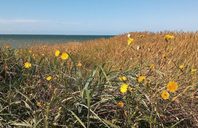 6 Person Holiday Home in Skibby-by Traum - Foto 18