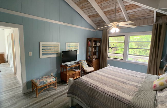 Palmetto Palms - Foto 11