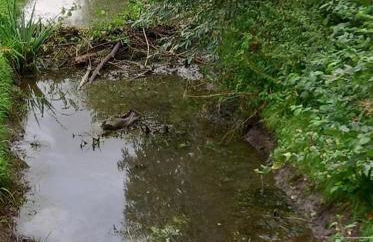 Haus Biber - altersgerechtes Ferienhaus am Niederrhein - - Foto 16