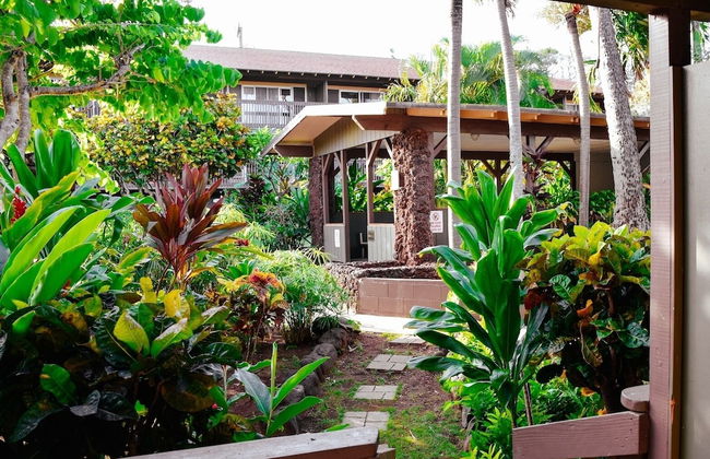 Napili Village Hotel - Foto 40