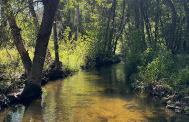 Peppermint Falls Ranch - Foto 21