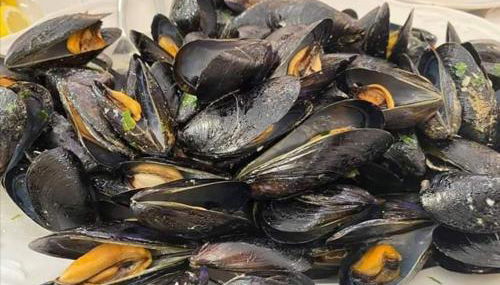 Sea & Culture San Terenzo -Lerici-300 m from the beach - Foto 5