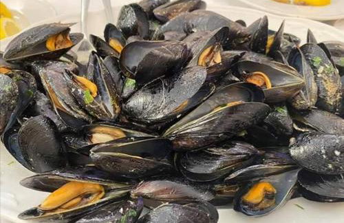 Sea & Culture San Terenzo -Lerici-300 m from the beach - Foto 5