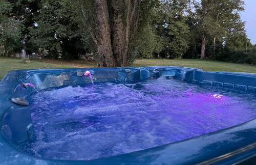 Gite de Fleur - Chateau du Grand Luçay - Foto 23