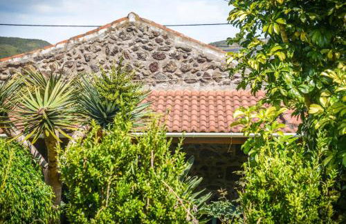 Quinta dos Frutos - Foto 63